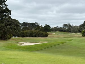 IMG_4622