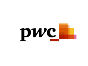 PWC Digital Inclusion (1)